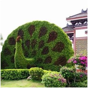Photo 49